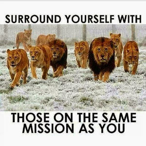 Meet your Posher, Gerardo